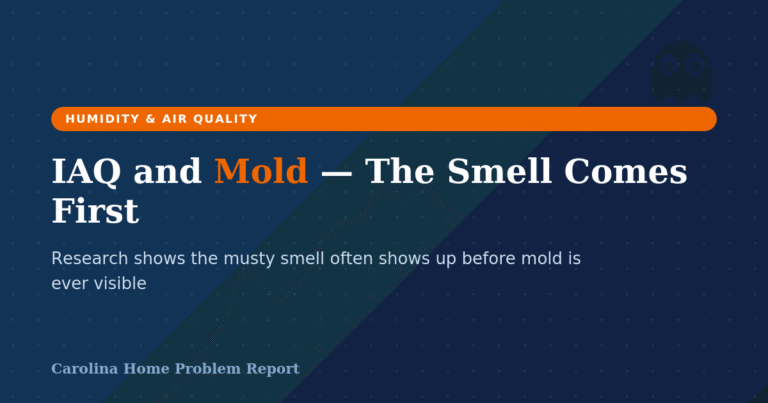 Illustration representing the connection between iaq and mold indoor air quality in a Carolina home