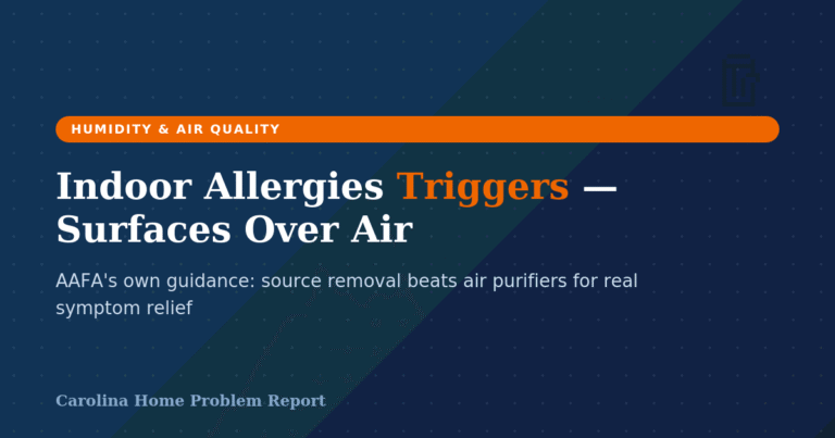 Illustration of common indoor allergies triggers in a Carolina home